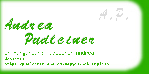 andrea pudleiner business card